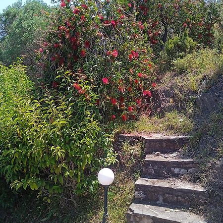 Villa Butterfly Nea Roda Esterno foto