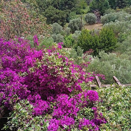Villa Butterfly Nea Roda Esterno foto