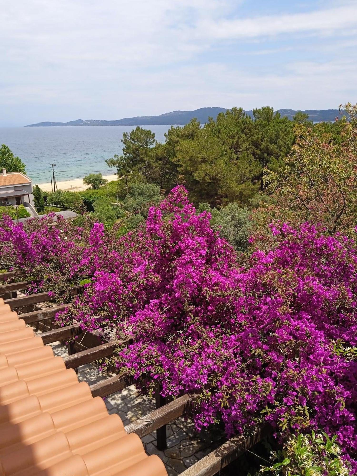 Villa Butterfly Nea Roda Esterno foto